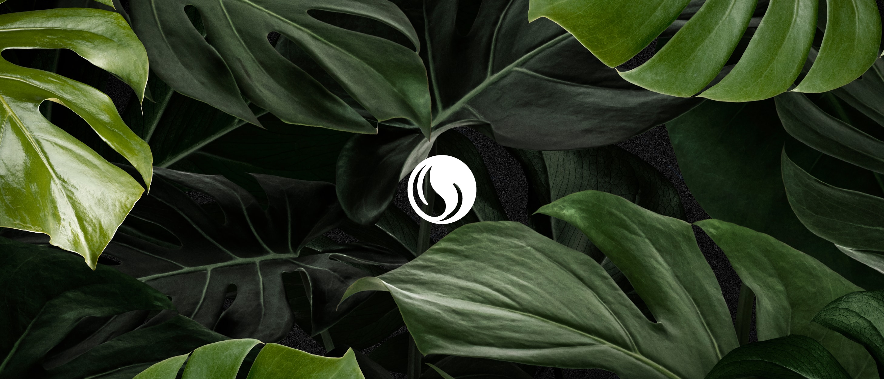 Green Spirit Hero